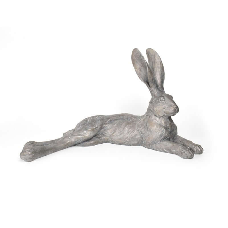 Large Lying Hare