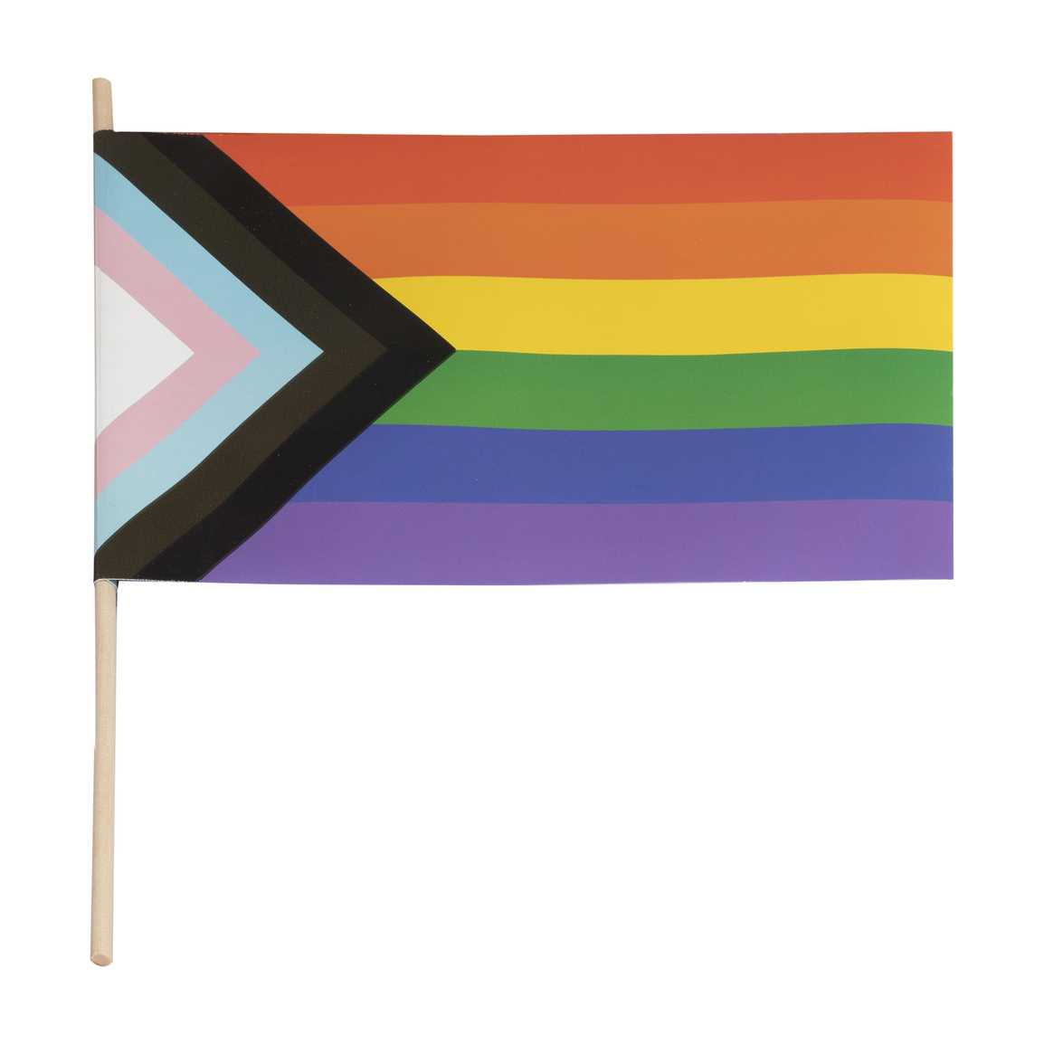 Handheld Pride Flag (pack of 5)