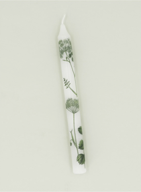 Taper Candle - Spring Hedgerow