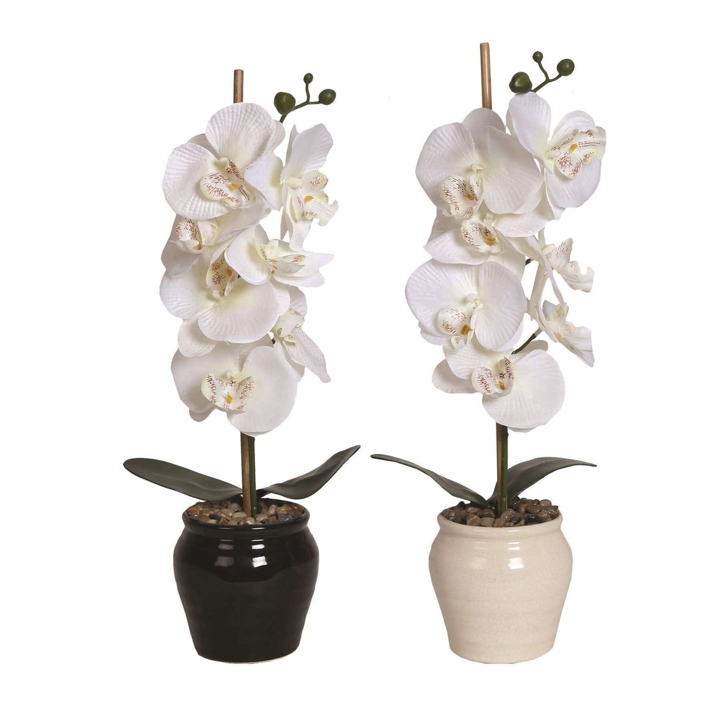 White Orchid Ceramic Pot 2 Assorted 54.5cm