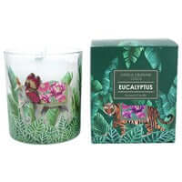 Gisela Graham Boxed Scented Candle - Tropic Fantasy