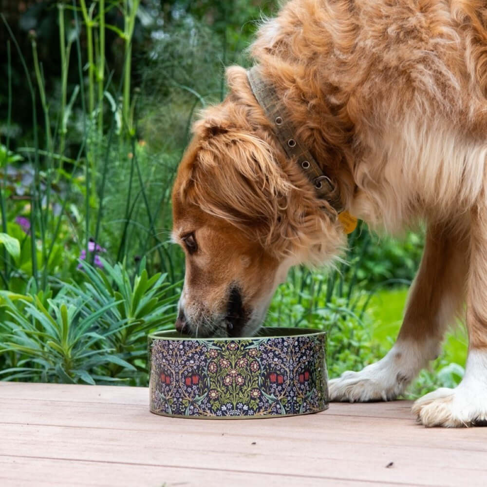 William Morris Canine Companion Ceramic Feeding Bowl