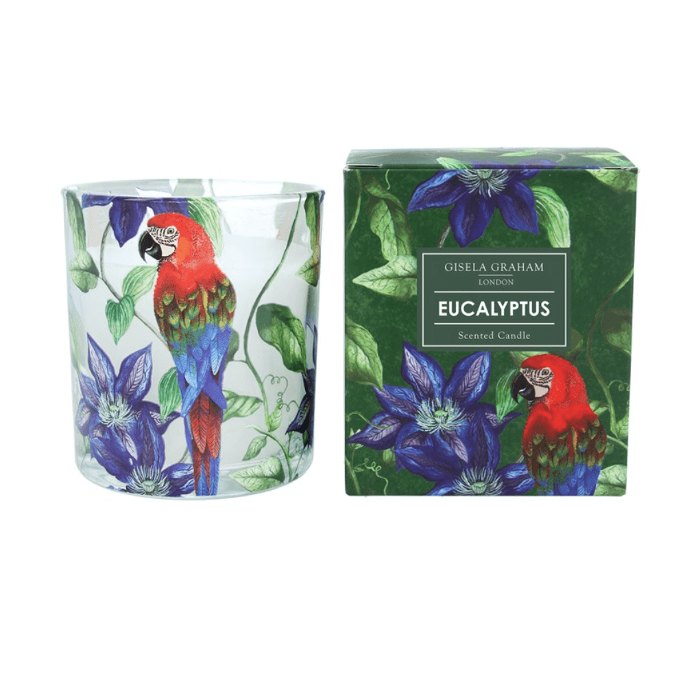 Scented Boxed Candle - Parrot & Flower