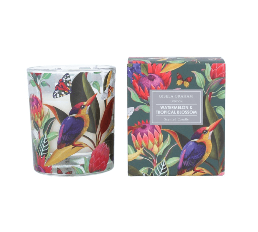 Scented Boxed Candle - Kingfisher & Protea
