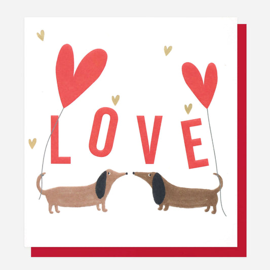 Caroline Gardner Love Sausage Dogs Valentines Card